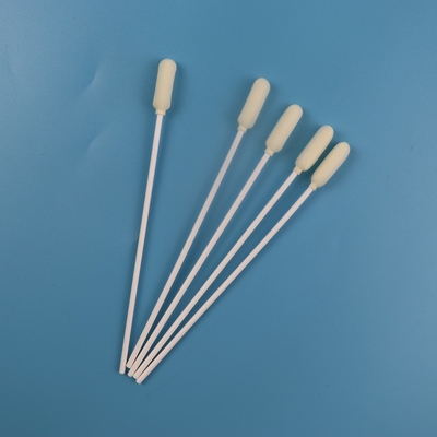 6mm Büyük Yuvarlak Kafa Tıbbi Steril Oral Örnekleme Çubuğu Tek Kullanımlık