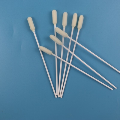 6mm Büyük Yuvarlak Kafa Tıbbi Steril Oral Örnekleme Çubuğu Tek Kullanımlık