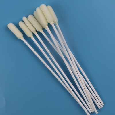 6mm Büyük Yuvarlak Kafa Tıbbi Steril Oral Örnekleme Çubuğu Tek Kullanımlık