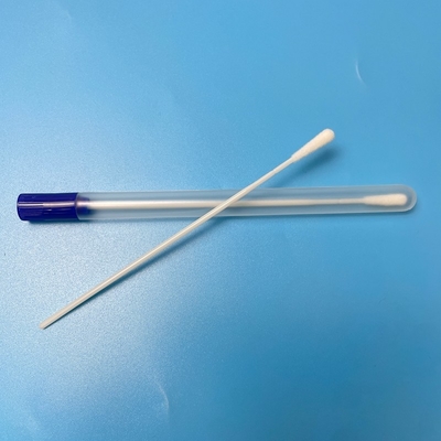 Oral DNA toplama için 6 inç naylon flocked tamponlar.