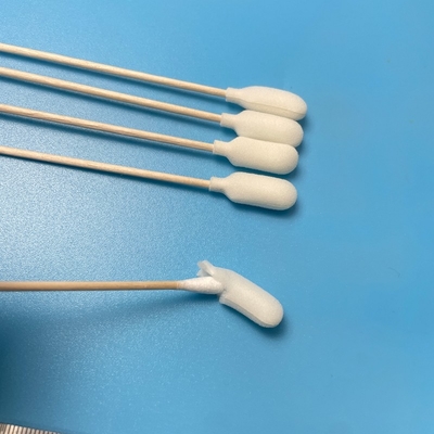 Beyaz yuvarlak köpükle kaplı kafa Örnek toplama çubukları Pamuk tomurcukları Ahşap sap
