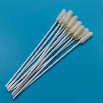 14cm Tek Kullanımlık Uzun PP Saplı Büyük Sünger Uçlu Ağız Sürüntüsü Steril Numune Toplama Sürüntüsü Grip Testi Numune Alma Sürüntüsü