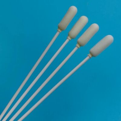 14cm Tek Kullanımlık Uzun PP Saplı Büyük Sünger Uçlu Ağız Sürüntüsü Steril Numune Toplama Sürüntüsü Grip Testi Numune Alma Sürüntüsü